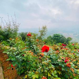 Ghattetar farm stay