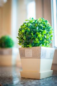 Apartamenty Bryza - Zeromskiego - Promenada - Parking