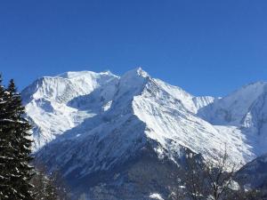 Chalet lAiglon