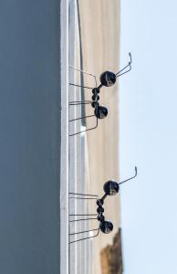 RM The Experience - Small Portuguese Hotels