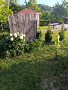 Apartman Petrovic