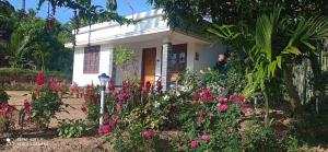 M S Farmstay