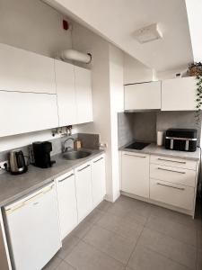 River Apartments I Near Nord Clinic & Žalgirio Arena
