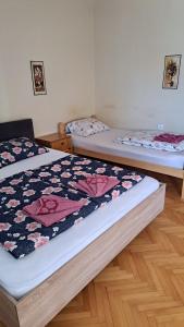 Apartment Fenix