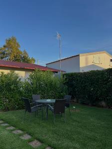 Jardin blue