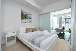 Downtown Toronto CN tower Condo