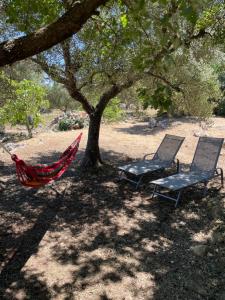 Trullo il Querciolo