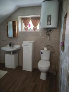 Csengi Apartman