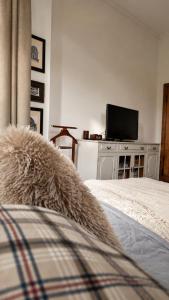 Apartament w kamienicy w sercu miasta Szczecin Wały Chrobrego