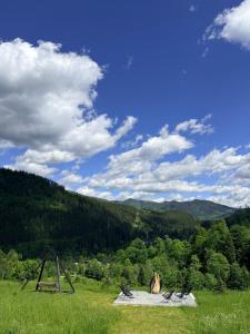 Atipic Chalet