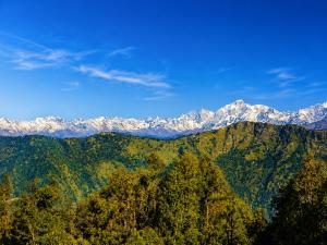 Hotel Vidya Om Palace kedarnath road