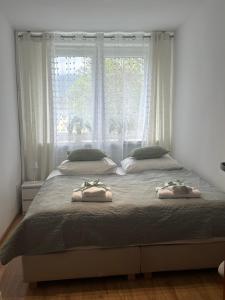 Apartament Misio