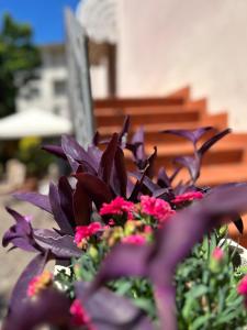 Nonnas House Tuscany