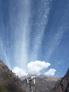 Being Himalayan Chojh