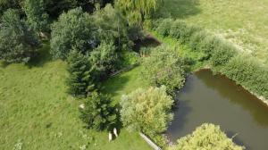 Cottage by the Ponds
