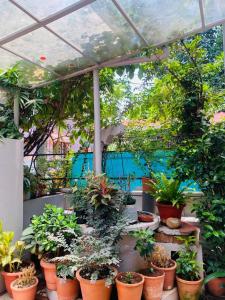 Homestay - Heaven Aumgarden