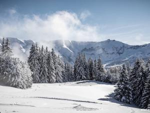 Neuf 3P avec parking et services inclus à Megève - FR-1-569-70