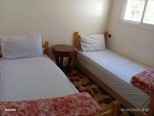 Appartement rez de chaussée 2