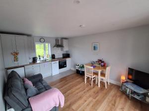 Swan Studio Haven