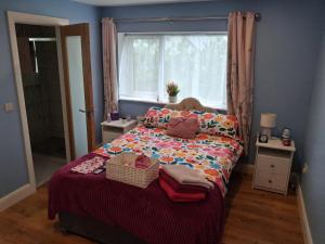 Swan Studio Haven