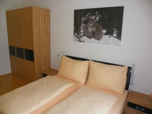 Ferienwohnung Ski-Hans
