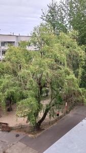 Kawalerka Stare Bielany