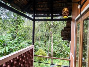 Tharayil Farm stay