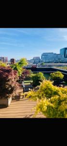 2-Bedroom City Apt with Roof Top Garden