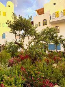 Via Mare - Santorini, Drymades