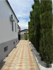 Villa Cypress