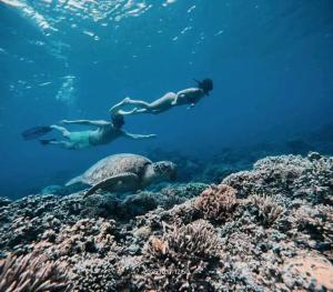 Snorkeling boat