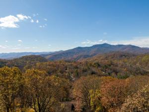 Fox Hollow at Misty Mountain