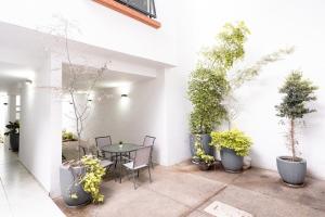 Escritorio y rooftop a un tramo, Chapultepec