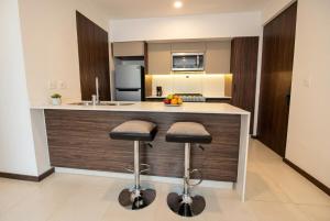 Loft acogedor con azotea y asador, Providencia