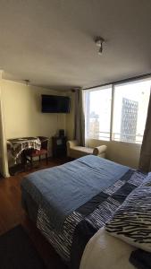 apartment in Santiago