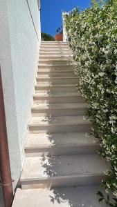 Guest house Festinalente