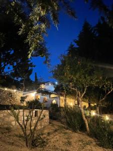 Forest House
