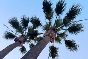 M&J Benalmadena Retreat