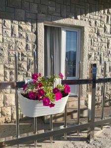 BlueWave Apartmani - Bjelila