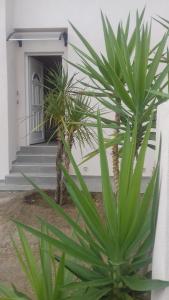 Appartements Casa di a Murza : photos des chambres