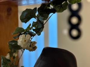 Spin Inn