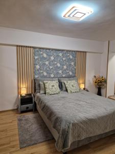 Adina C1 - Deluxe Apartment