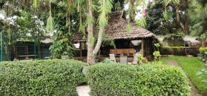 moshono WiDa lodge