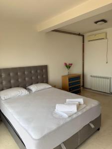 Luxury Villa Pontus
