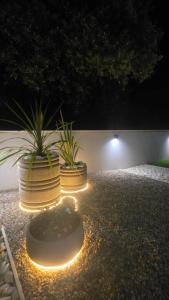Ivo Suites