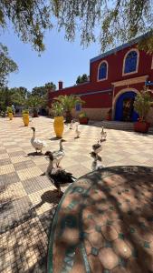 Camping & Hôtel Le Calme