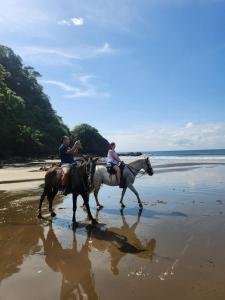 Cuantum Ocean View Boutique Retreat Blue Zone Costa Rica