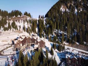 Alps Flat with Heated Pool