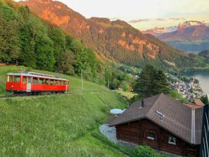 Holiday home in Vitznau with swimming pool