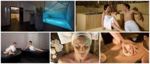 Čebelarjeva hiška 1 - Terme Olimia - Podčetrtek